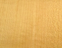 Nitrocellulose Lacquer Amber Light (transparent, tinted)